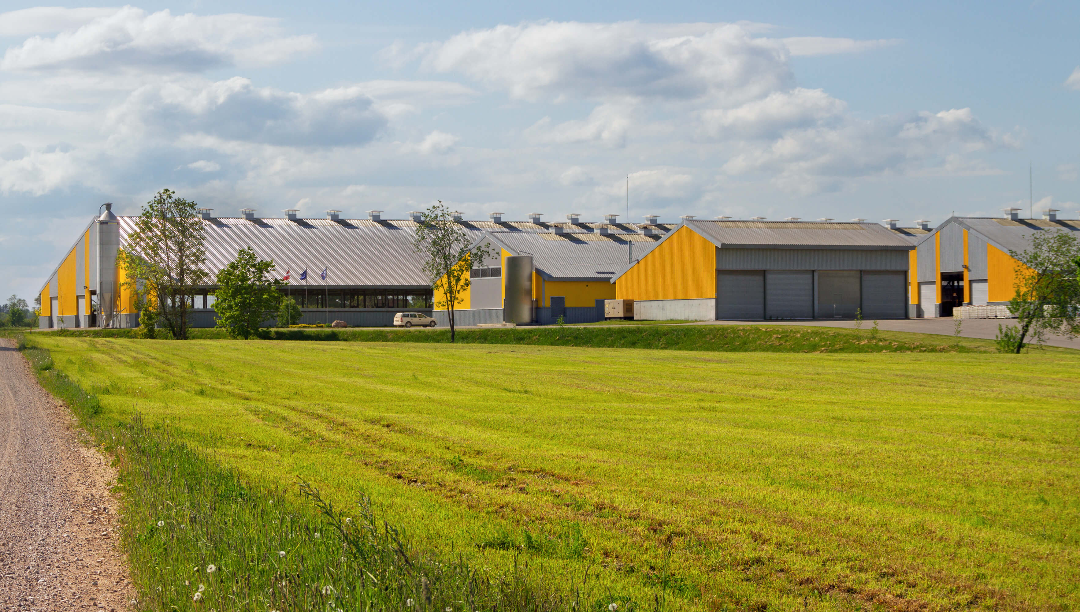 Milk farm in countryside
