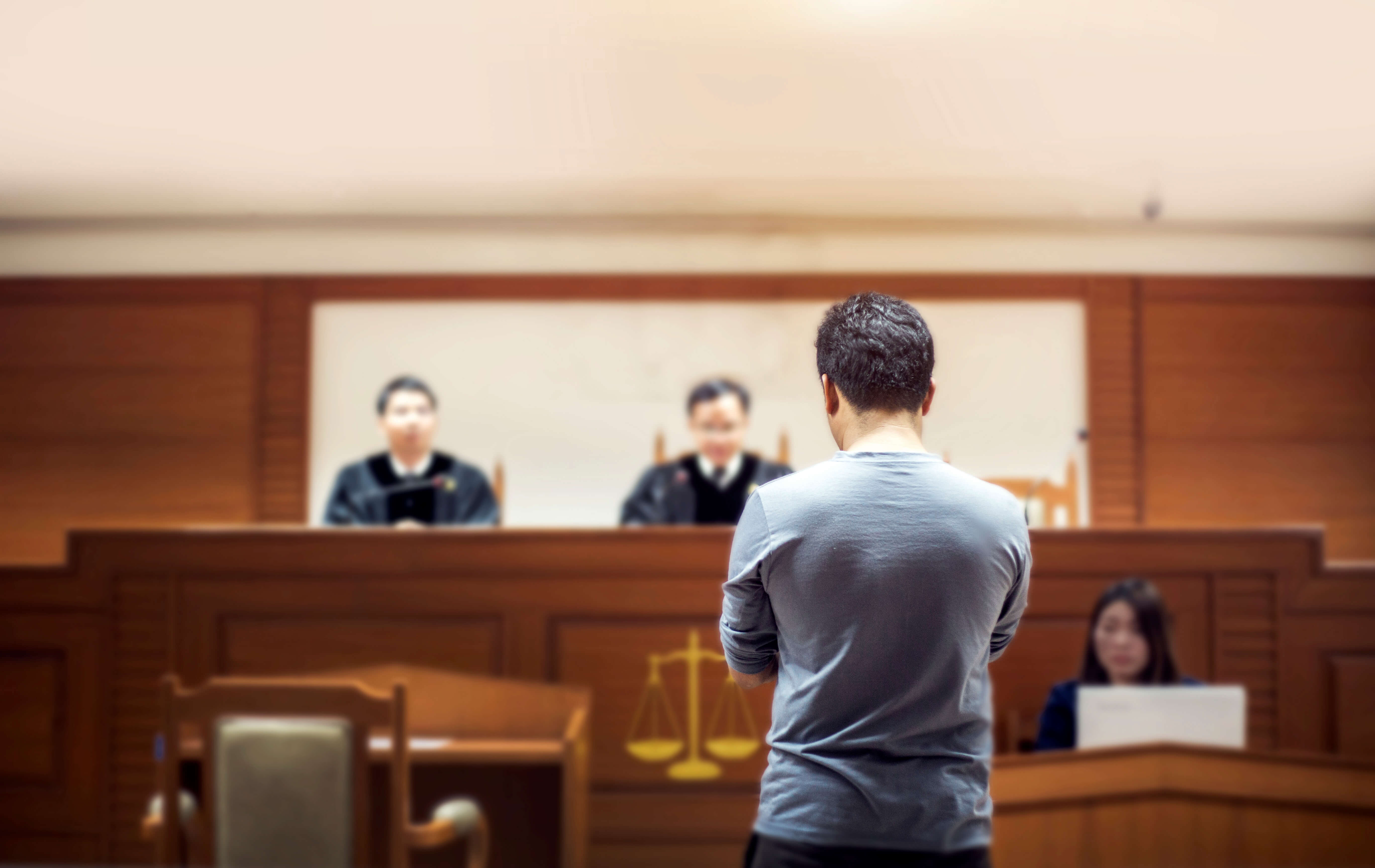 litigation support