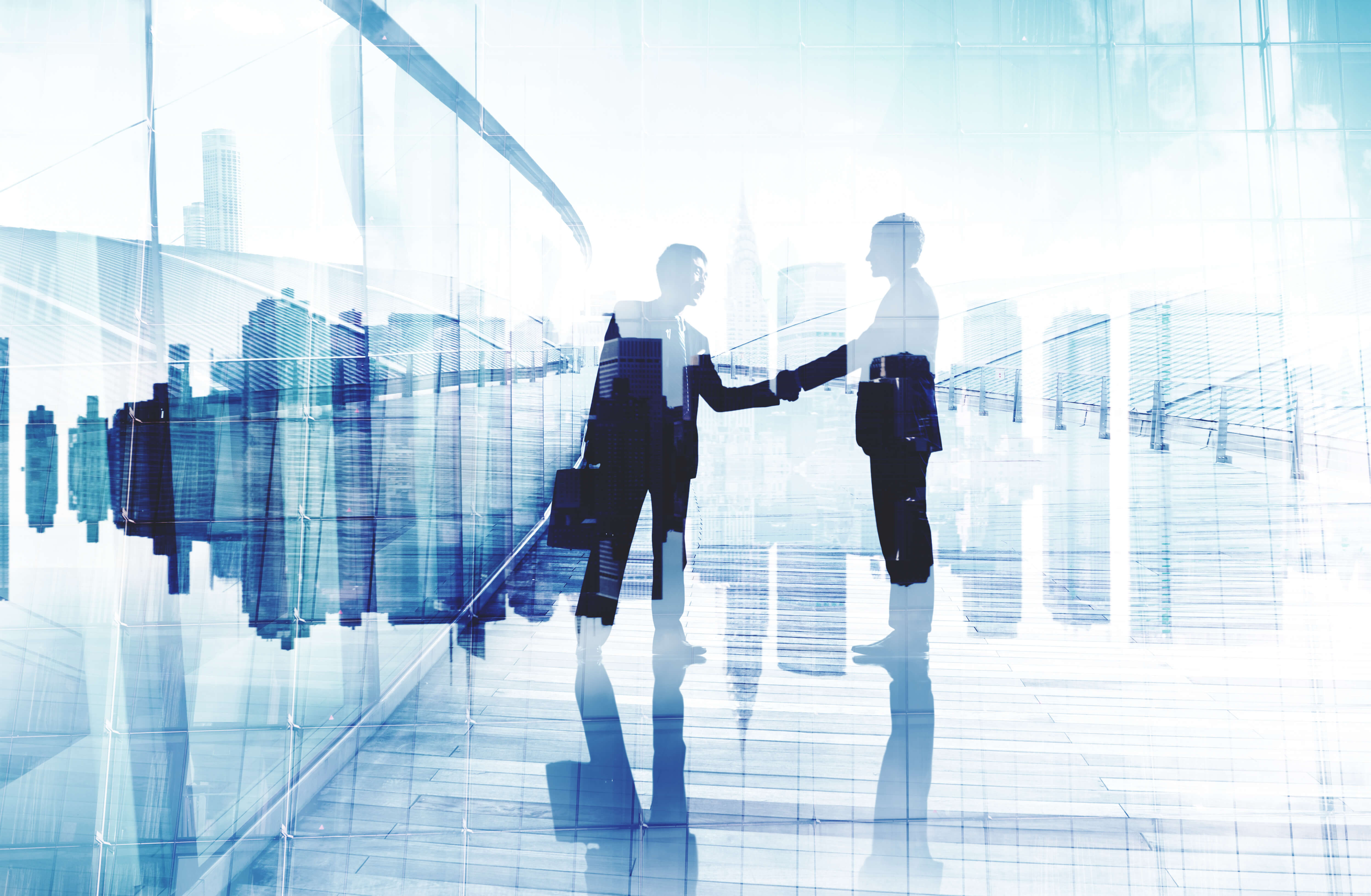 Consulting Business Environmental Standards Inc Consulting Deal Environmental Standards
