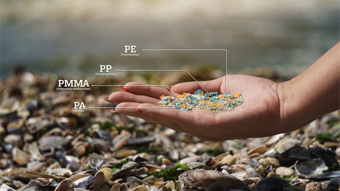 Microplastics inside