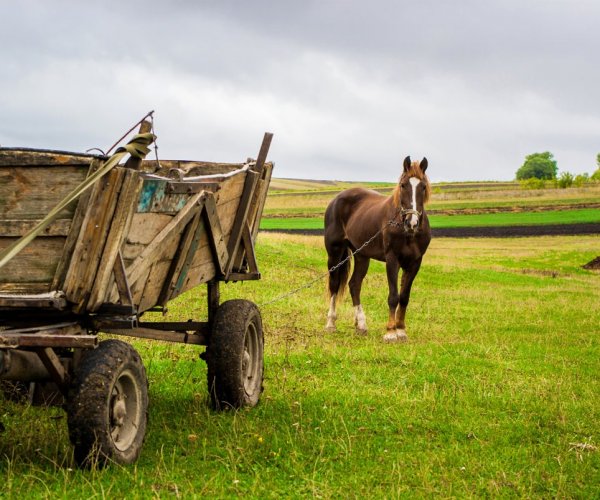 PFAS-–-Putting-the-Cart-Before-the-Horse-2