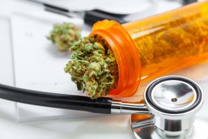 Cannabis Legalized Environmental Standards Shane Penn Cannabis Legalized Environmental Standards Shane Penn