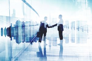Consulting Business Environmental Standards Inc Consulting Deal Environmental Standards