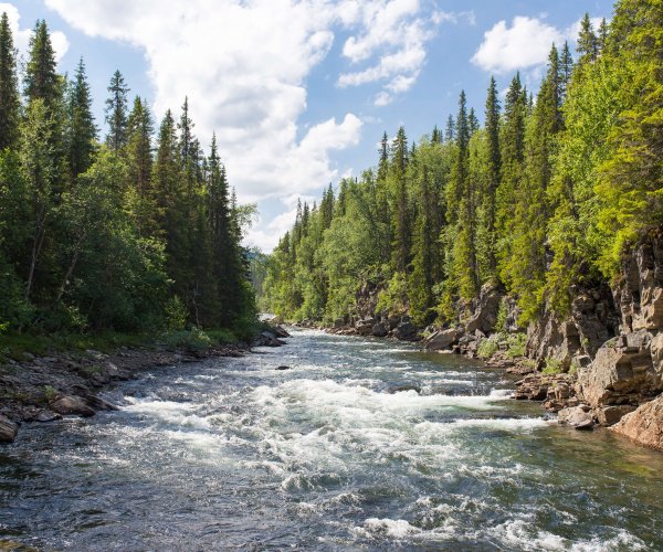river white